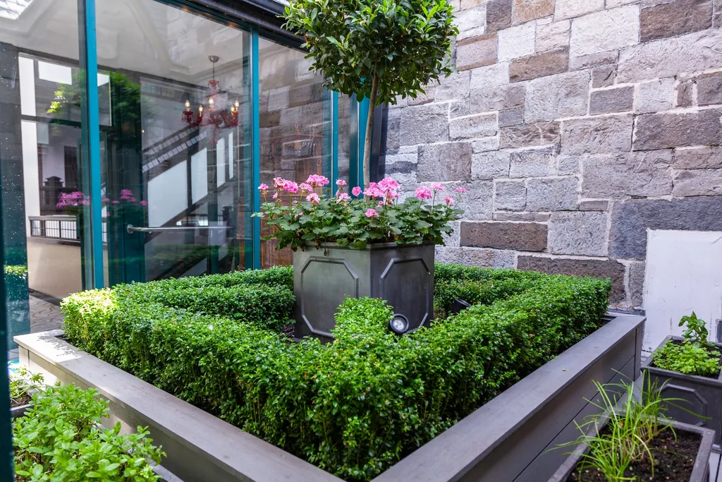 Clipped box hedge and flowers beside the glass entrance