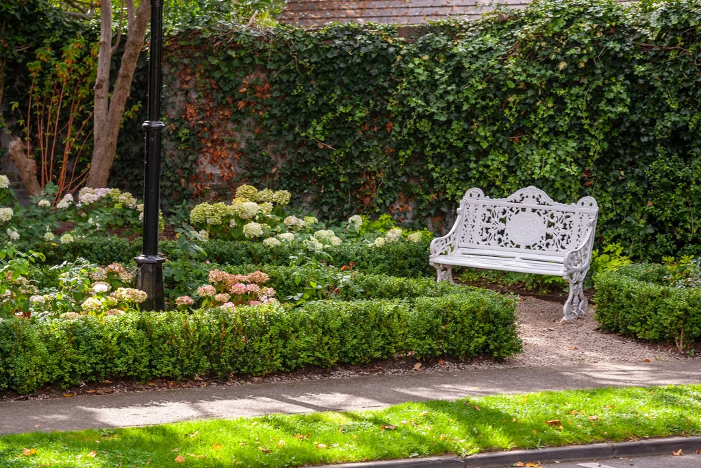 A white bench in the sunlit formal garden