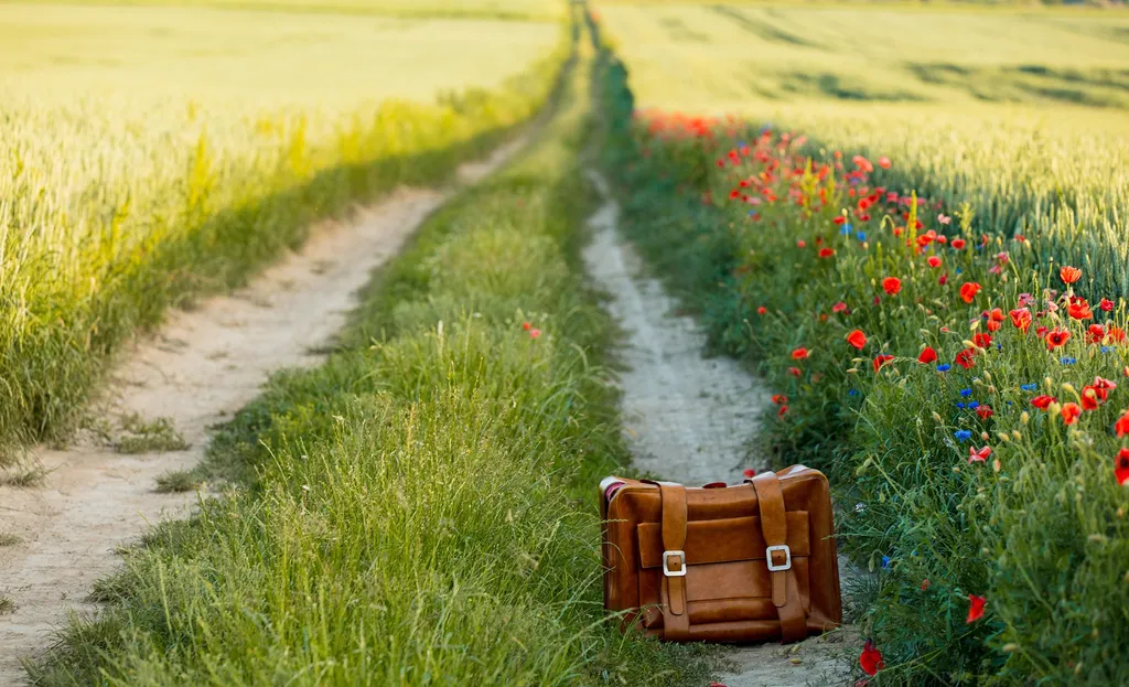 A tan leather bag left on a path through wheat and poppies